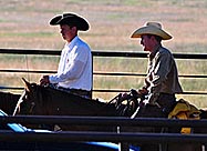 avoiding being conned by cowboys- read more